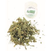 From the Field Organic Catnip Buds - 0.04oz Tub